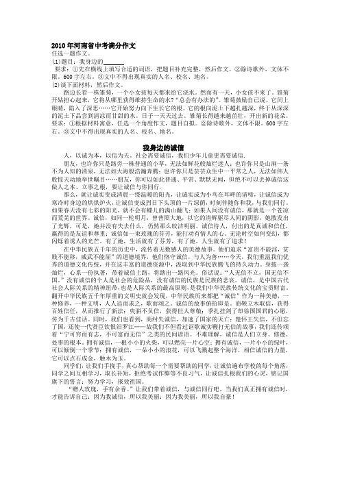 2010年河南省中考满分作文