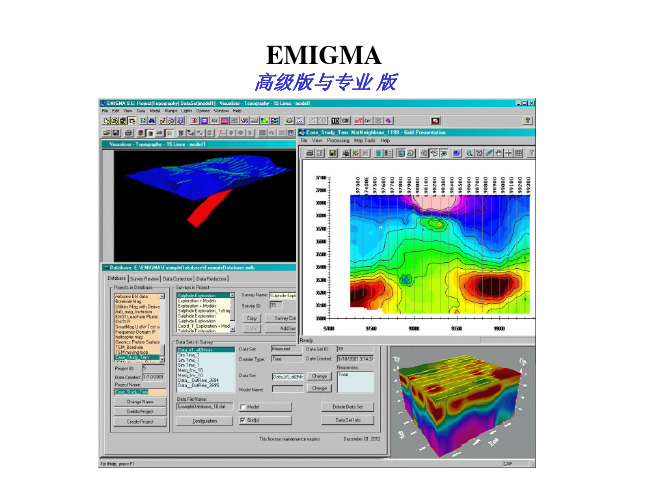 Emigma中文手册_说明