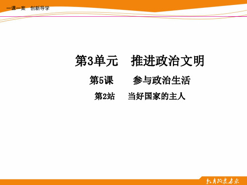 第5课 参与政治生活 第2站 道德与法治九年级上册一课一练PPT课件