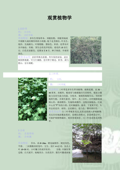 观赏植物学 图文并茂