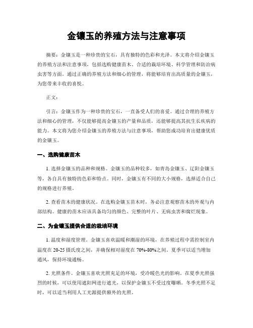 金镶玉的养殖方法与注意事项