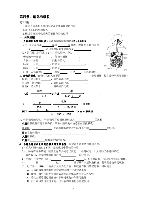 中考生物之人体内食物的消化和吸收教学案2