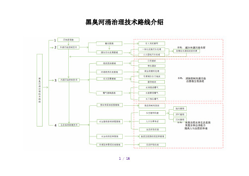 黑臭水体治理技术路线介绍 (定稿)