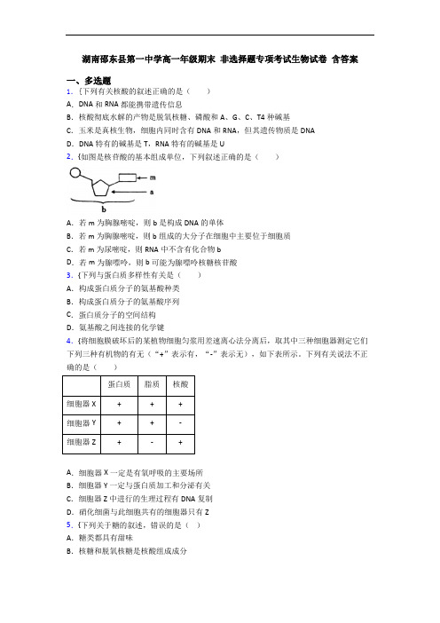 湖南邵东县第一中学高一年级期末 非选择题专项考试生物试卷 含答案