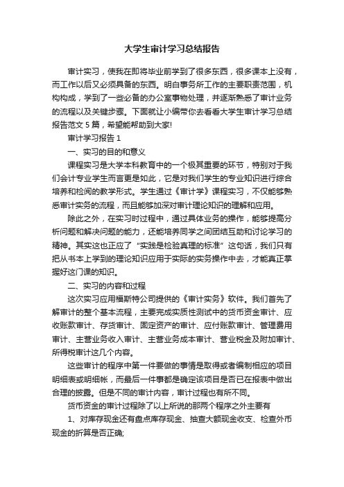 大学生审计学习总结报告