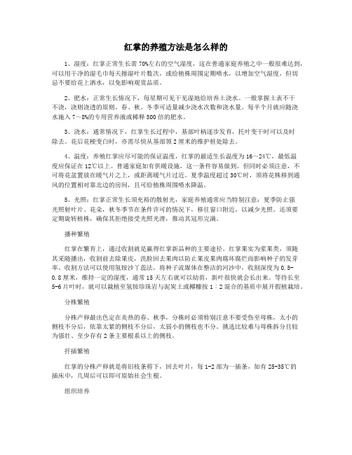 红掌的养殖方法是怎么样的