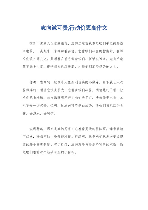 志向诚可贵,行动价更高作文