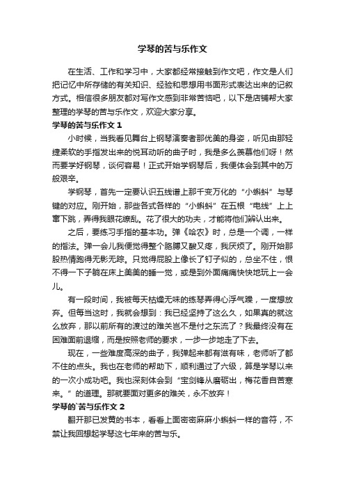 学琴的苦与乐作文