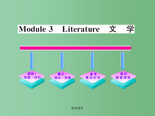 高中英语一轮复习 Module3 Literature课件 外研版选修7