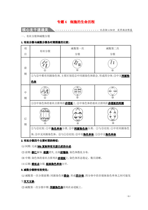 2019最新高考生物二轮复习专用 专题四 细胞的生命历程自查教案