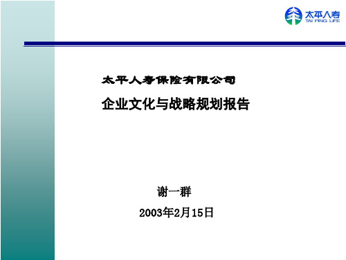 企业文化战略规划报告