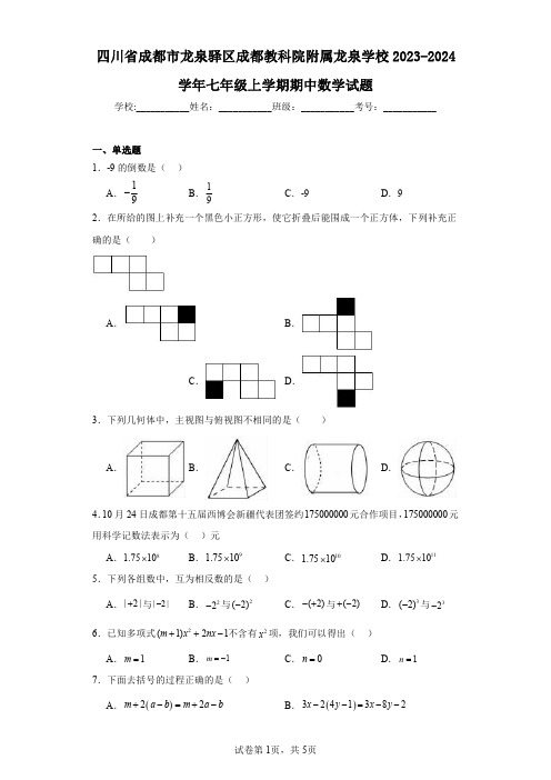 四川省成都市龙泉驿区成都教科院附属龙泉学校2023-2024学年七年级上学期期中数学试题