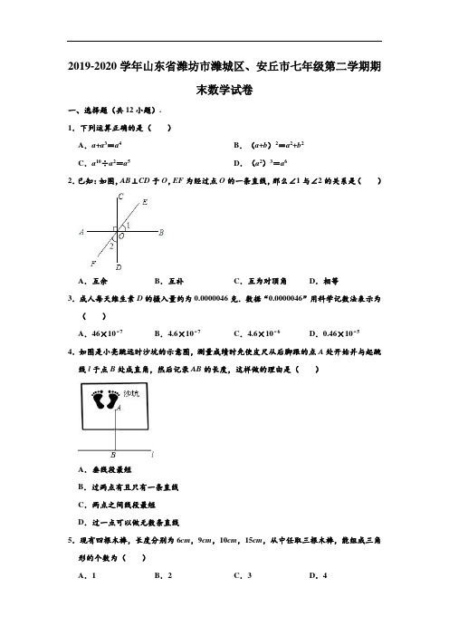 2019-2020学年山东省潍坊市潍城区、安丘市七年级下学期期末数学试卷 (解析版)