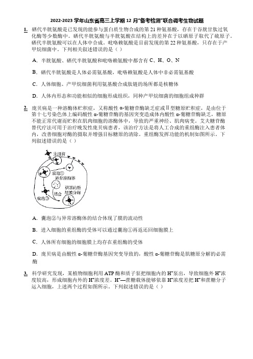 2022-2023学年山东省高三上学期12月“备考检测”联合调考生物试题