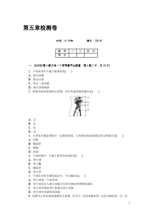 人教版七年级生物下第五章  检测卷及答案