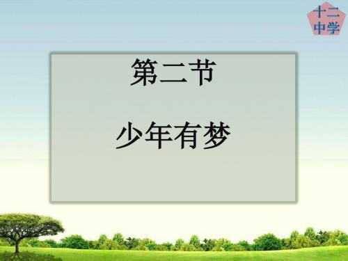 人教版道德与法治七年级上册 1.2 少年有梦 课件(共25张ppt)