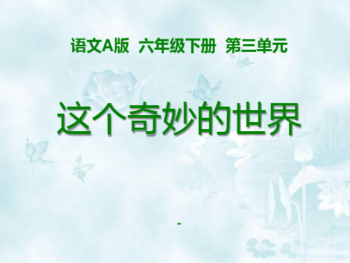 202X语文A版语文六下《这个奇妙的世界》ppt课件