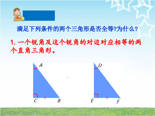 三角形全等的判定第四课时ppt课件