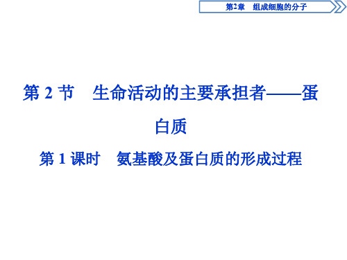 人教版生物必修1 第2章 组成细胞的分子 第2节 第1课时 氨基酸及蛋白质的形成过程