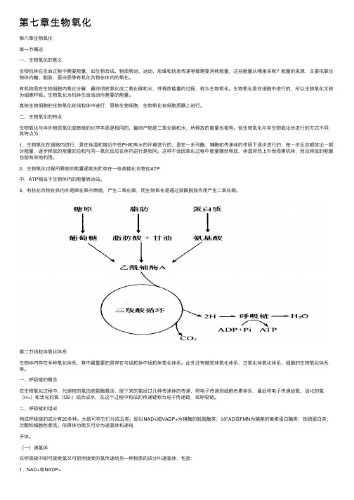 第七章生物氧化