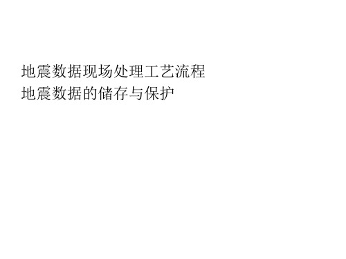 地震数据现场处理工艺流程