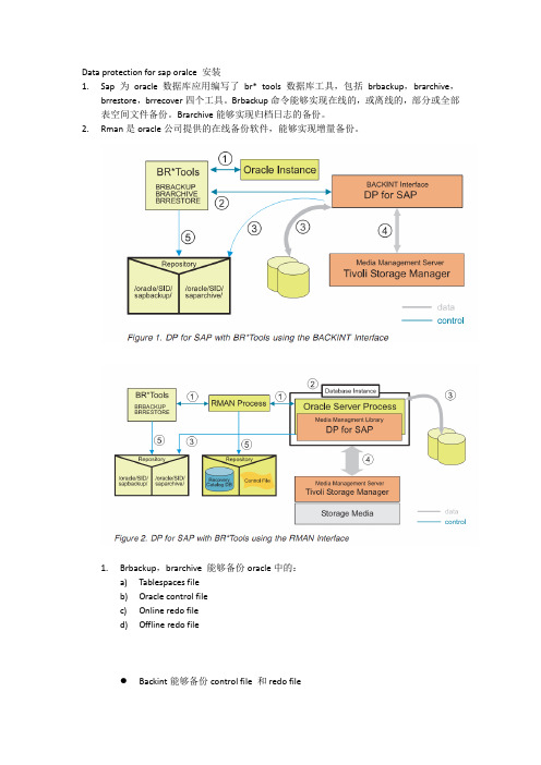 Data protection for sap oralce 安装