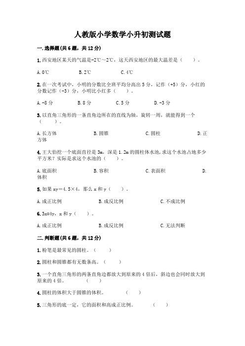 人教版小学数学小升初测试题及参考答案【考试直接用】含答案【综合卷】