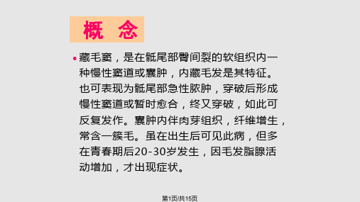 藏毛窦护理业务查房PPT课件