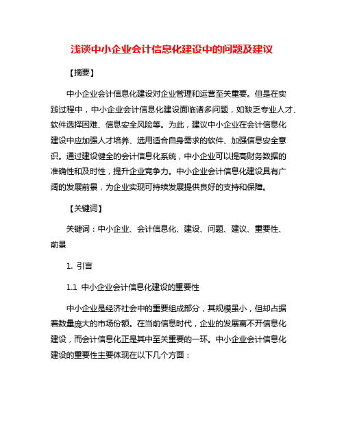 浅谈中小企业会计信息化建设中的问题及建议