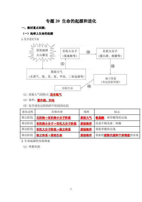 人教版生物中考一轮复习：生命的起源和进化(解析版)