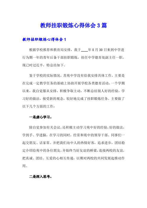 教师挂职锻炼心得体会3篇