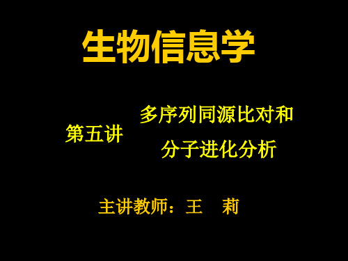 5 多序列同源比对和分子进化分析