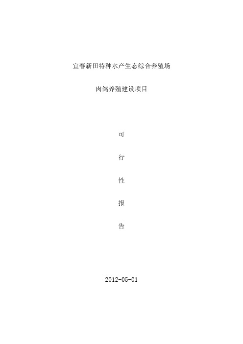 新田肉鸽养殖可行性报告---文本资料