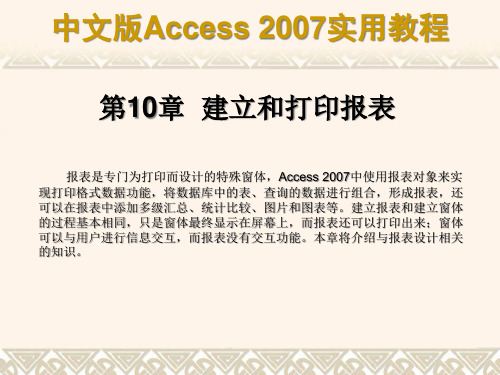 Access2007实用教程之建立和打印报表讲义