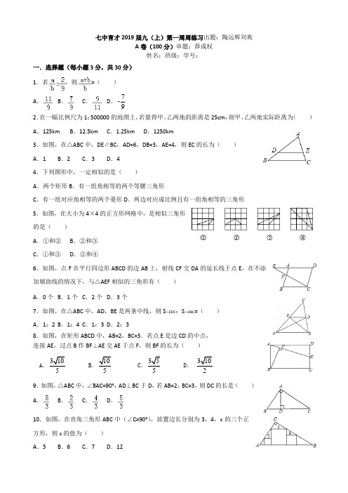 19届初三上数学《第一周周练习》试卷