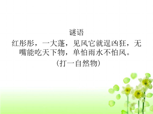 防止火灾参考课件.ppt