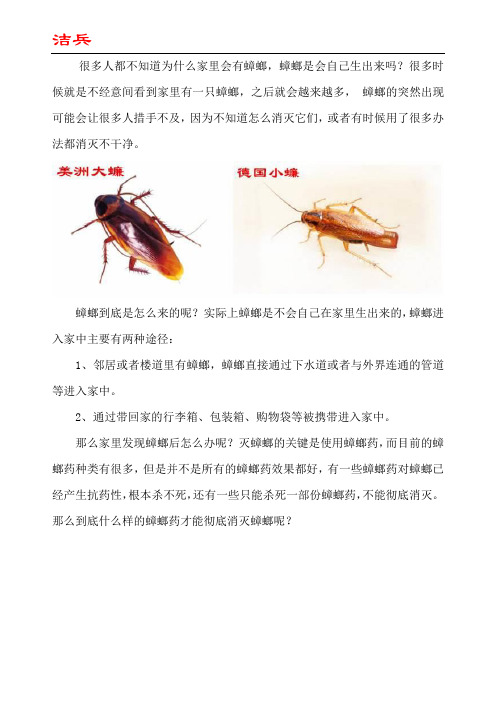 家里有蟑螂是自己生出来的吗