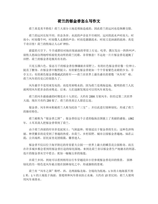 荷兰的郁金香怎么写作文