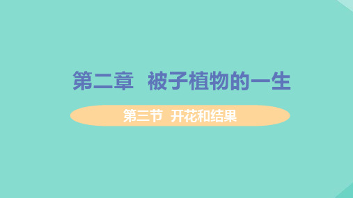 七年级生物上册-被子植物的一生第三节开花和结果教学课件新版新人教版