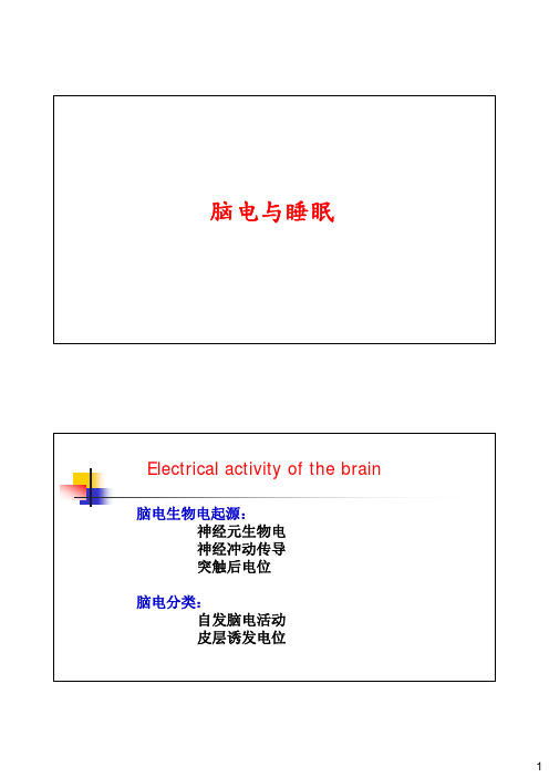 脑电活动PPT