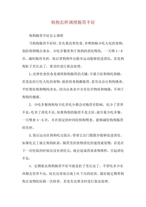 狗狗怎样调理肠胃不好