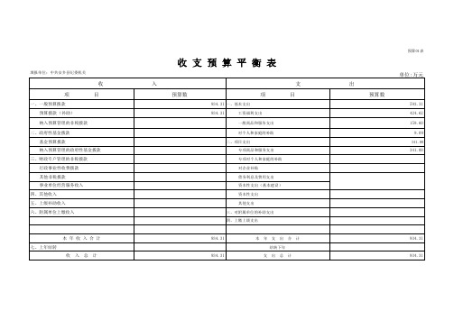 收支预算平衡表