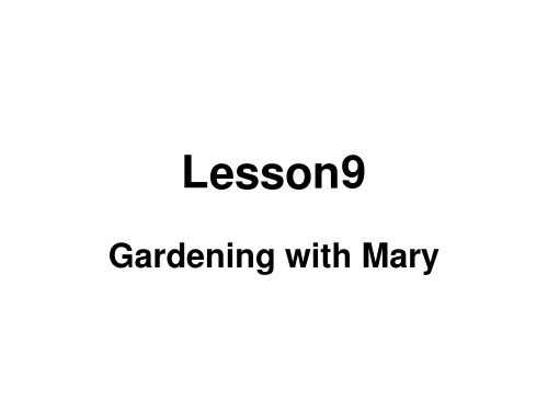 八年级下英语冀教版课件lesson9