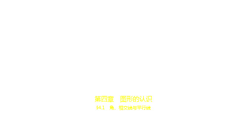 2021年福建中考数学复习练习课件：§4.1 角、相交线与平行线