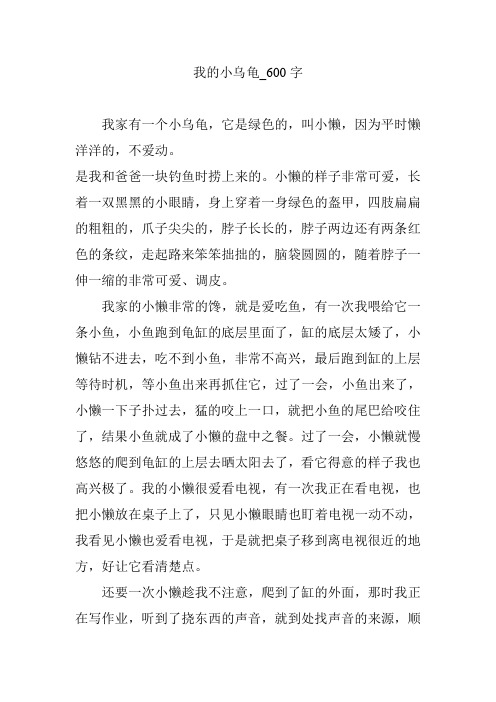 我的小乌龟_600字