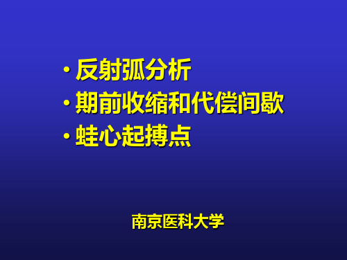 实验反射弧分析