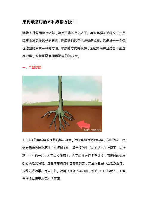 果树最常用的5种嫁接方法