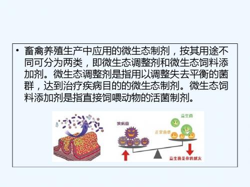 微生态制剂在畜禽养殖中的功效及其注意事项