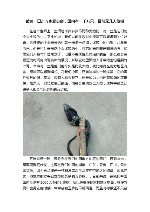 被咬一口走五步就丧命，国内有一千万只，目前无几人敢抓