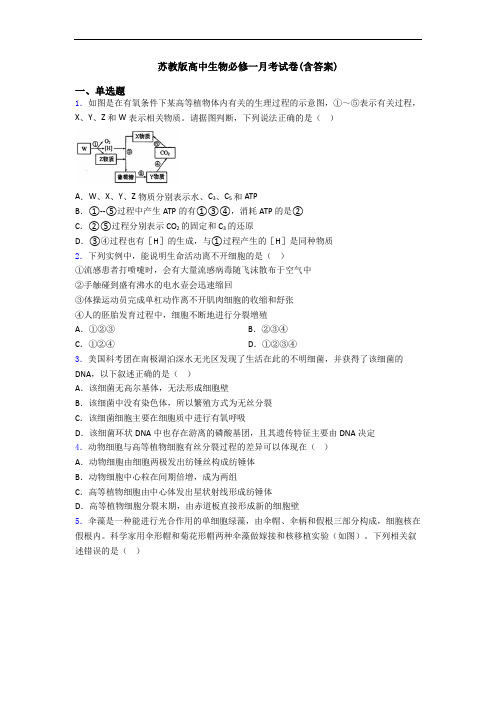 苏教版高中生物必修一月考试卷(含答案)